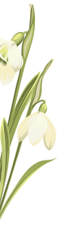 flor-central-izq