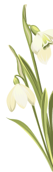 flor-inf-der