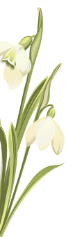 flor-inf-izq