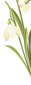 flor-sup-der