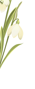 flor-superior-izq